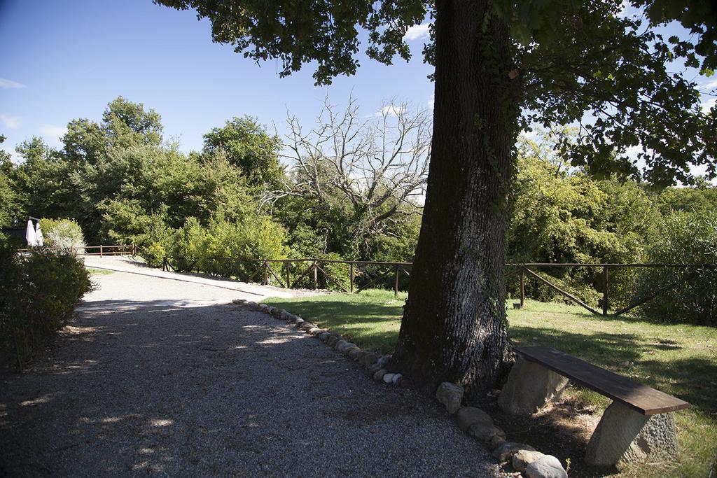 Agriturismo Pieve De Pitti Terricciola ภายนอก รูปภาพ
