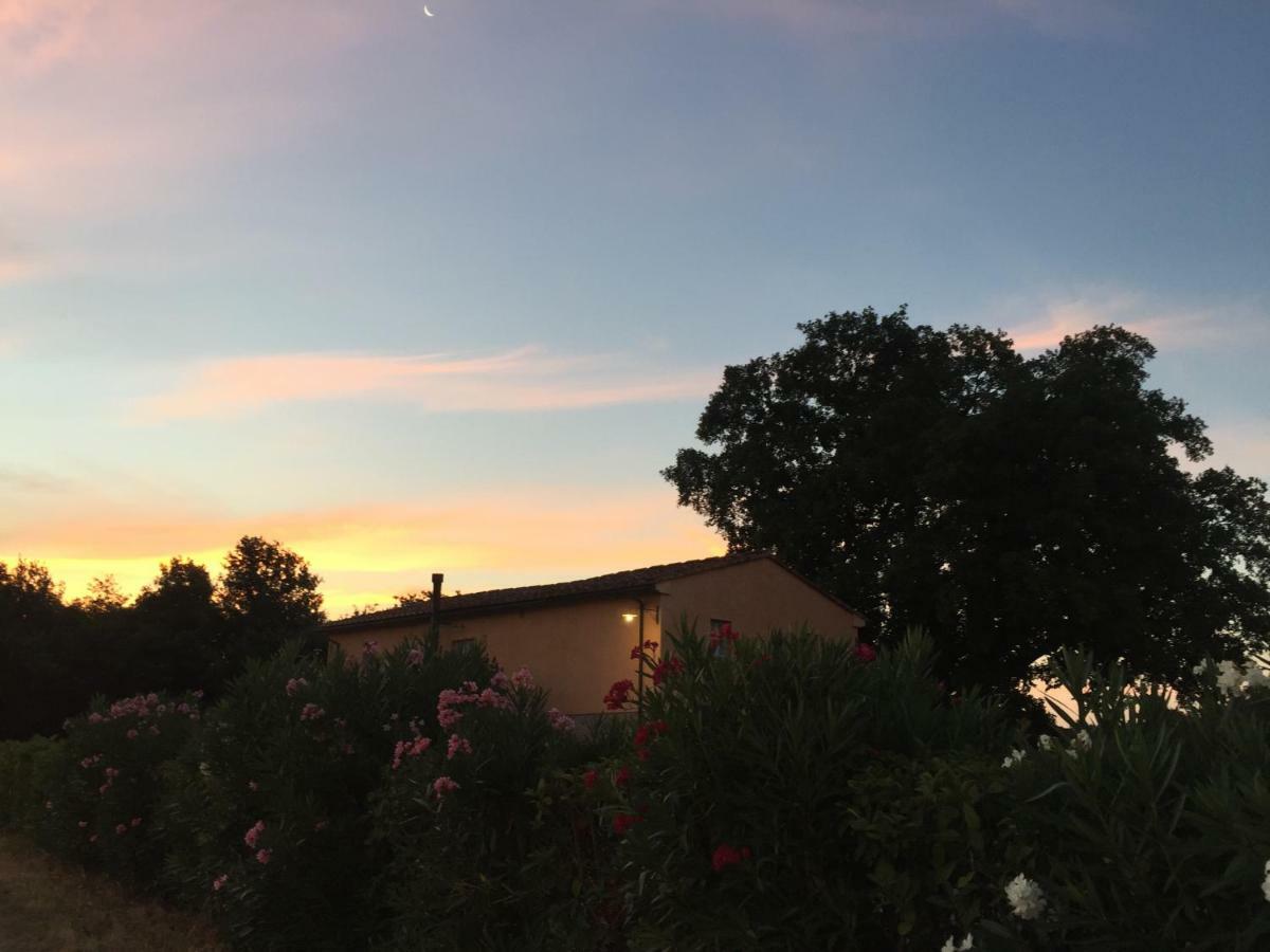 Agriturismo Pieve De Pitti Terricciola ภายนอก รูปภาพ