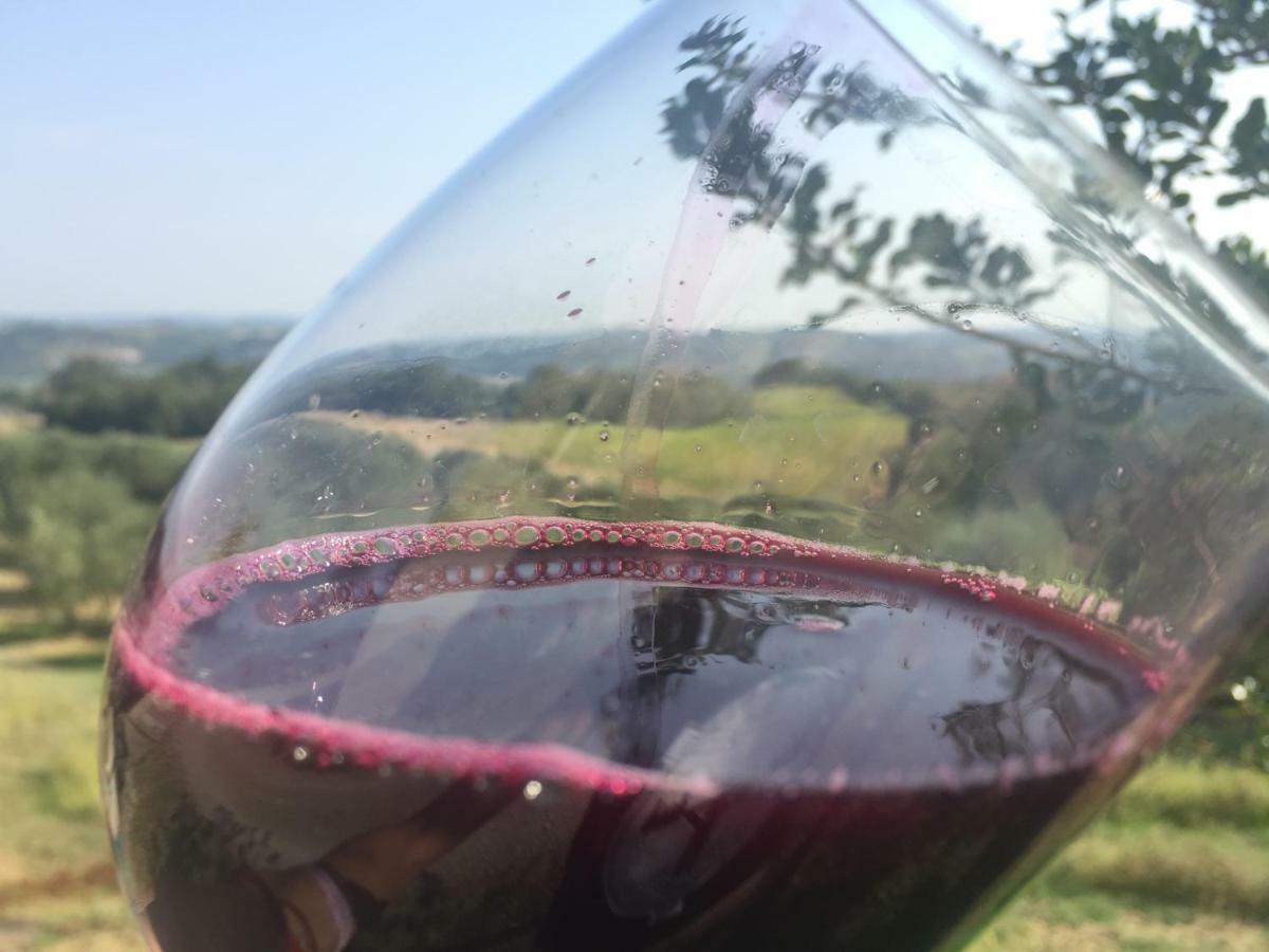 Agriturismo Pieve De Pitti Terricciola ภายนอก รูปภาพ