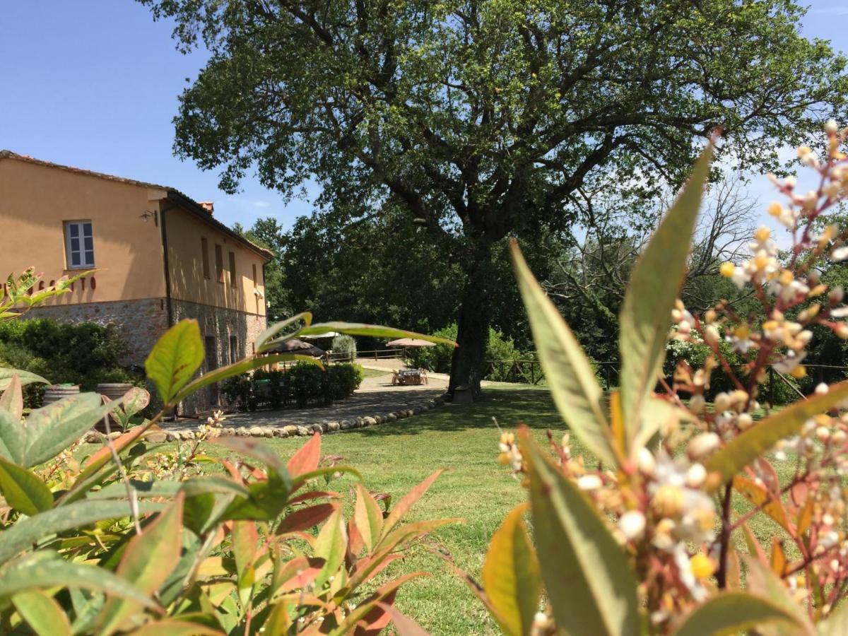 Agriturismo Pieve De Pitti Terricciola ภายนอก รูปภาพ