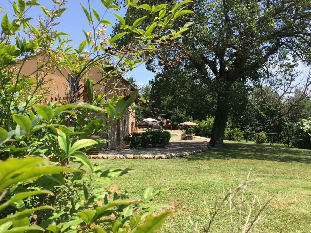 Agriturismo Pieve De Pitti Terricciola ภายนอก รูปภาพ