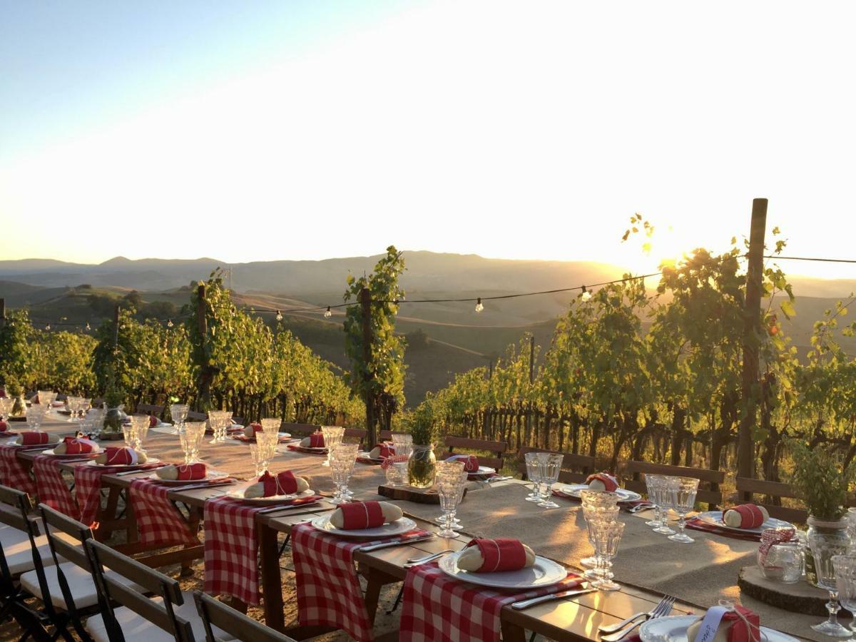 Agriturismo Pieve De Pitti Terricciola ภายนอก รูปภาพ