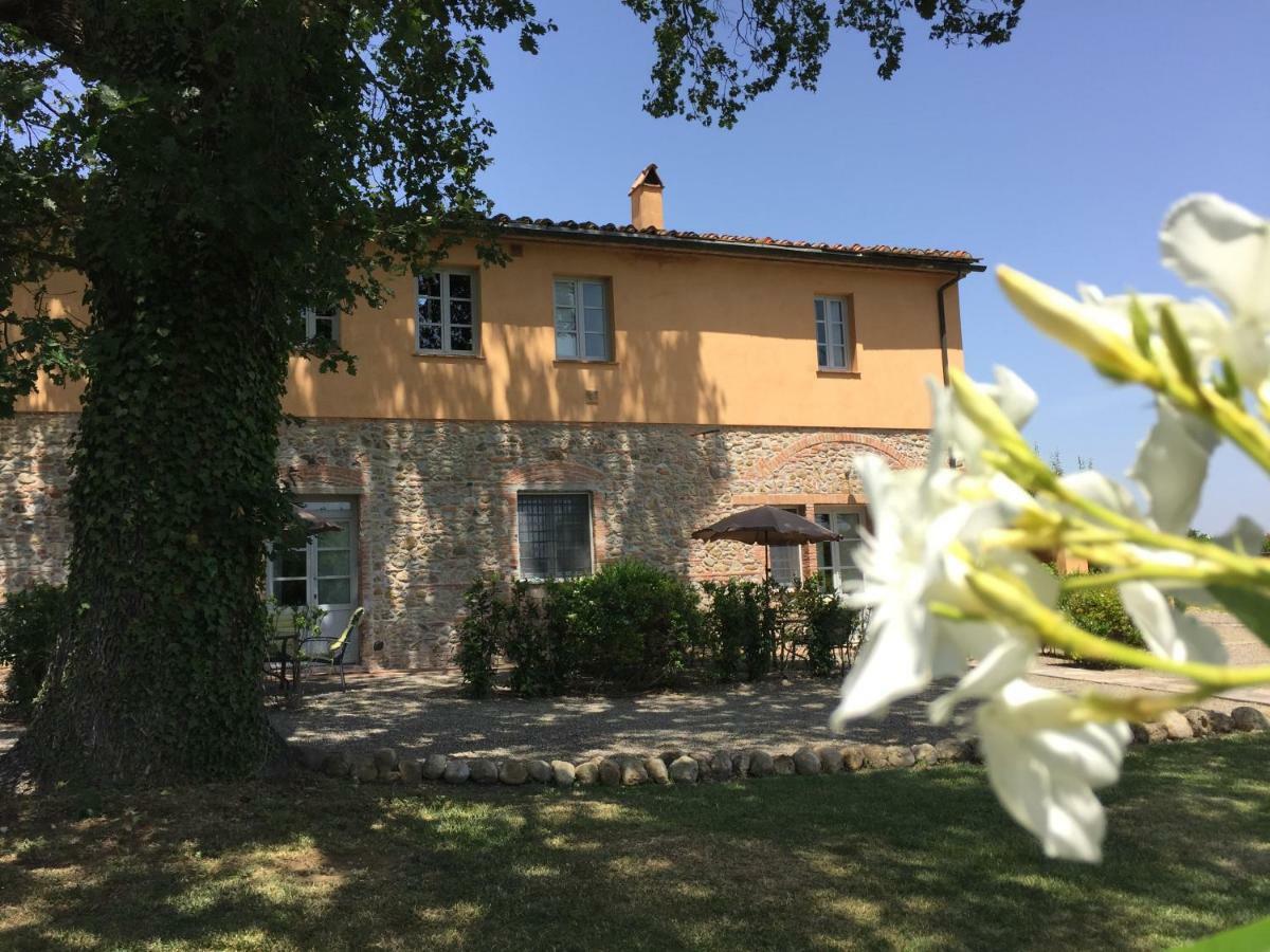 Agriturismo Pieve De Pitti Terricciola ภายนอก รูปภาพ