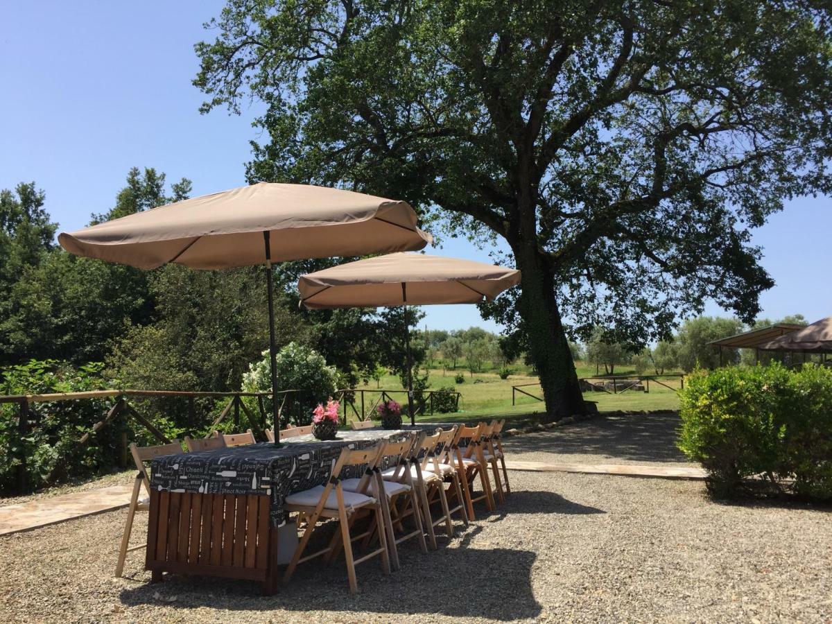 Agriturismo Pieve De Pitti Terricciola ภายนอก รูปภาพ