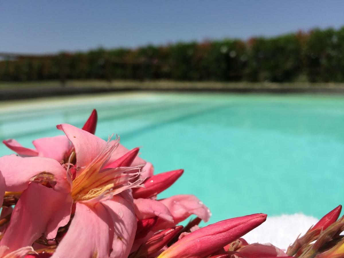 Agriturismo Pieve De Pitti Terricciola ภายนอก รูปภาพ