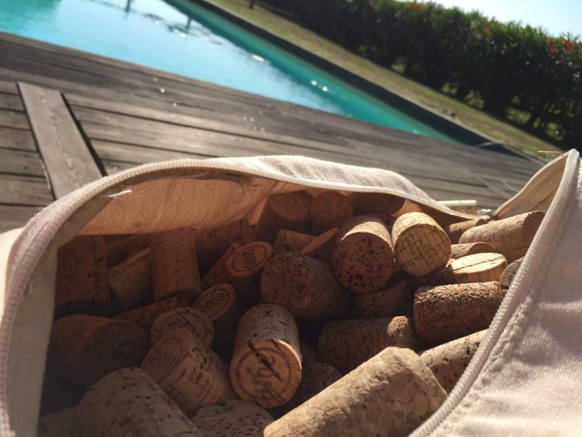 Agriturismo Pieve De Pitti Terricciola ภายนอก รูปภาพ