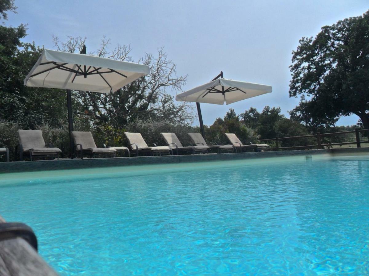 Agriturismo Pieve De Pitti Terricciola ภายนอก รูปภาพ